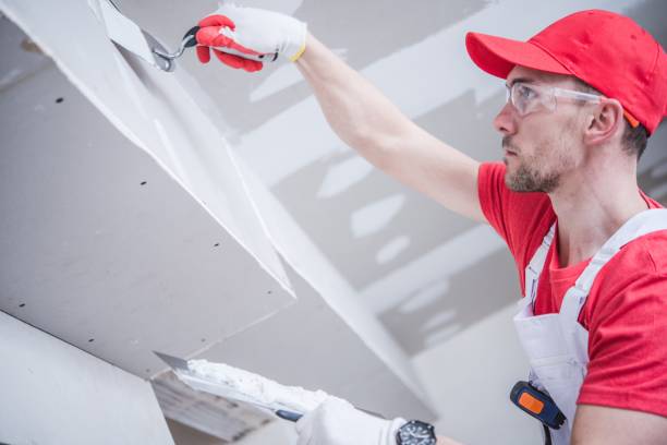Best Mold Damage Restoration  in Belleville, MI